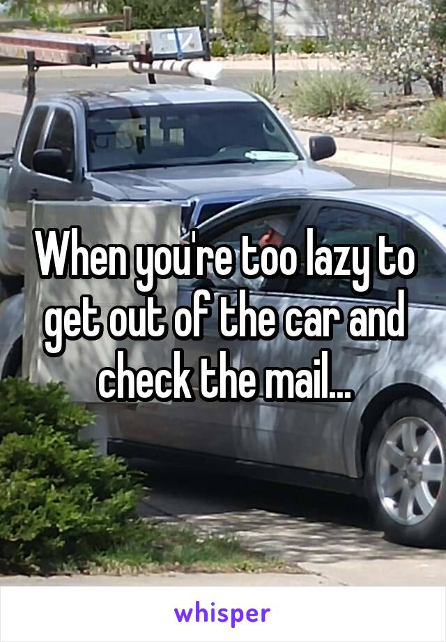 When you're too lazy to get out of the car and check the mail...