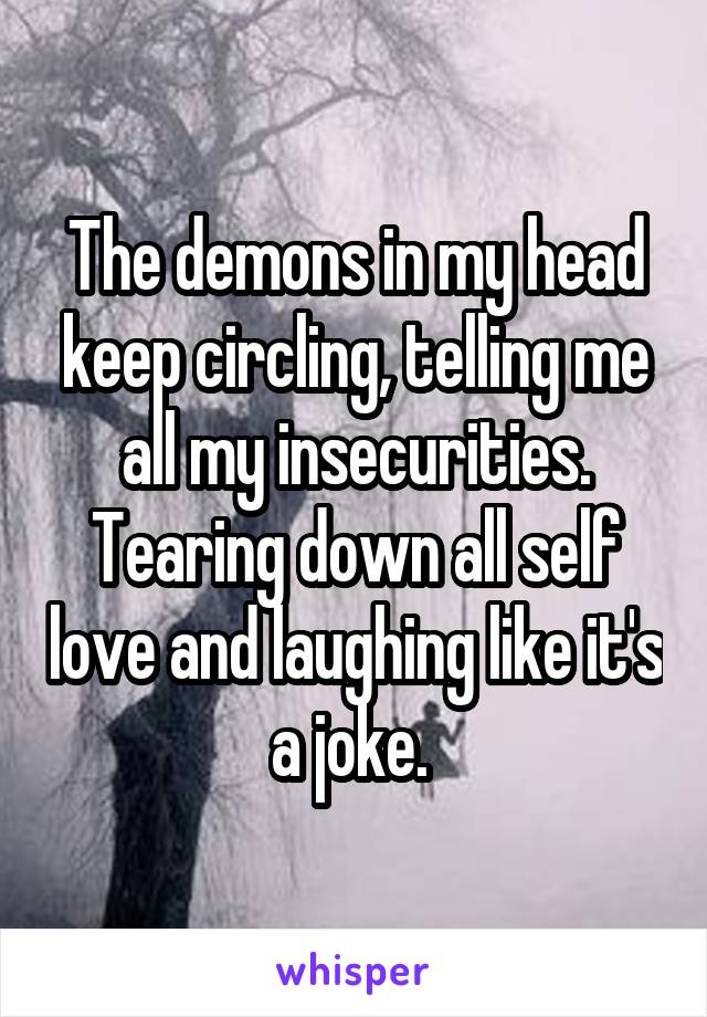 The demons in my head keep circling, telling me all my insecurities. Tearing down all self love and laughing like it's a joke. 