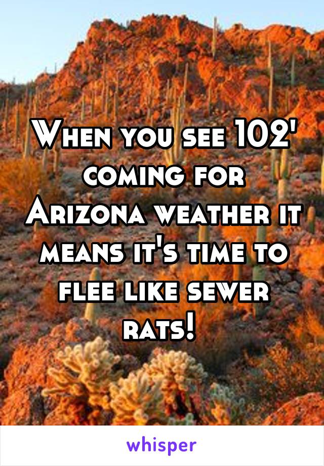 When you see 102' coming for Arizona weather it means it's time to flee like sewer rats! 