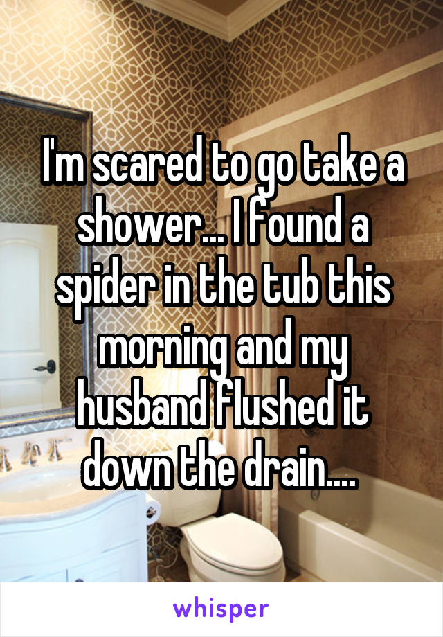 I'm scared to go take a shower... I found a spider in the tub this morning and my husband flushed it down the drain.... 