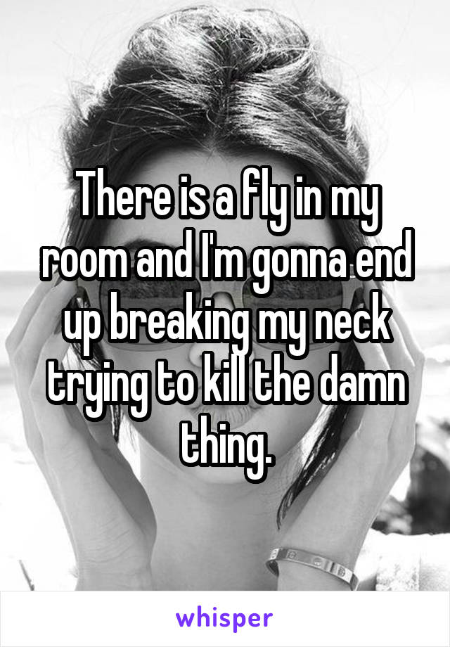 There is a fly in my room and I'm gonna end up breaking my neck trying to kill the damn thing.