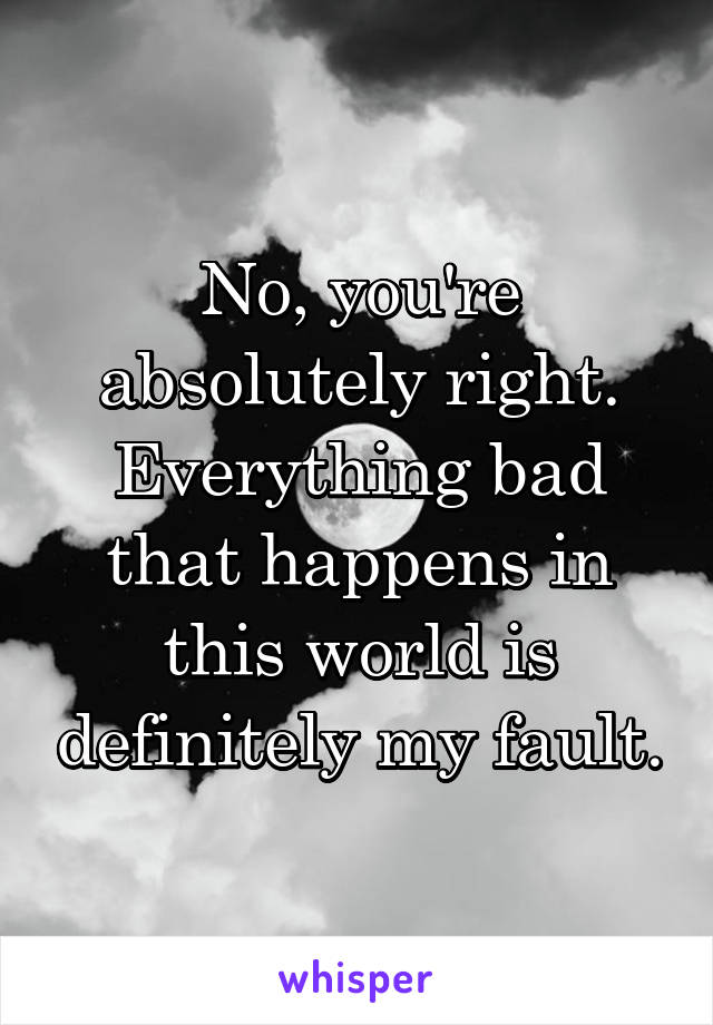 No, you're absolutely right.
Everything bad that happens in this world is definitely my fault.