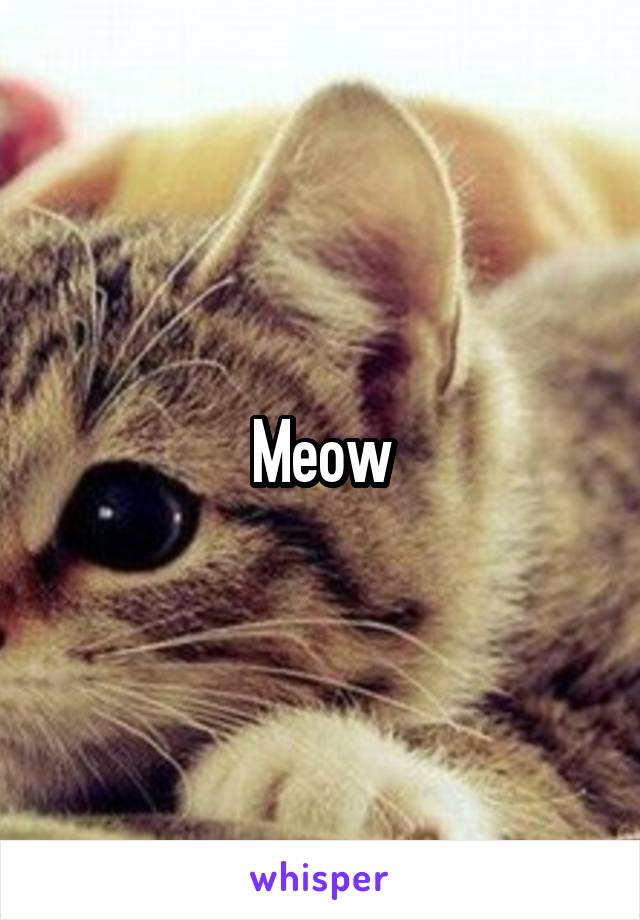 Meow