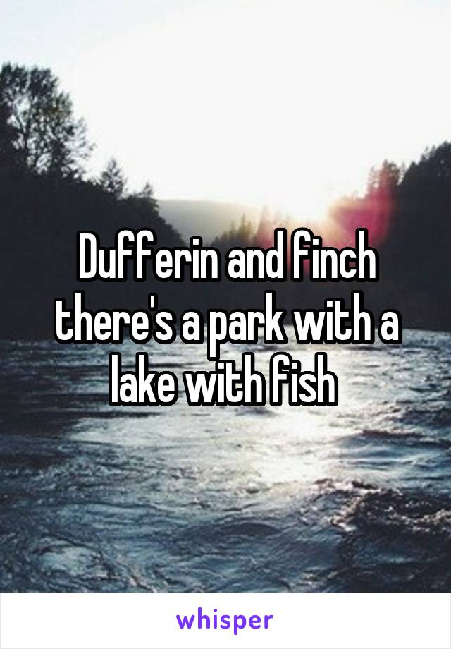 Dufferin and finch there's a park with a lake with fish 