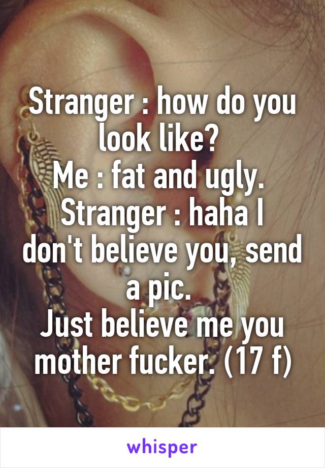 Stranger : how do you look like? 
Me : fat and ugly. 
Stranger : haha I don't believe you, send a pic. 
Just believe me you mother fucker. (17 f)