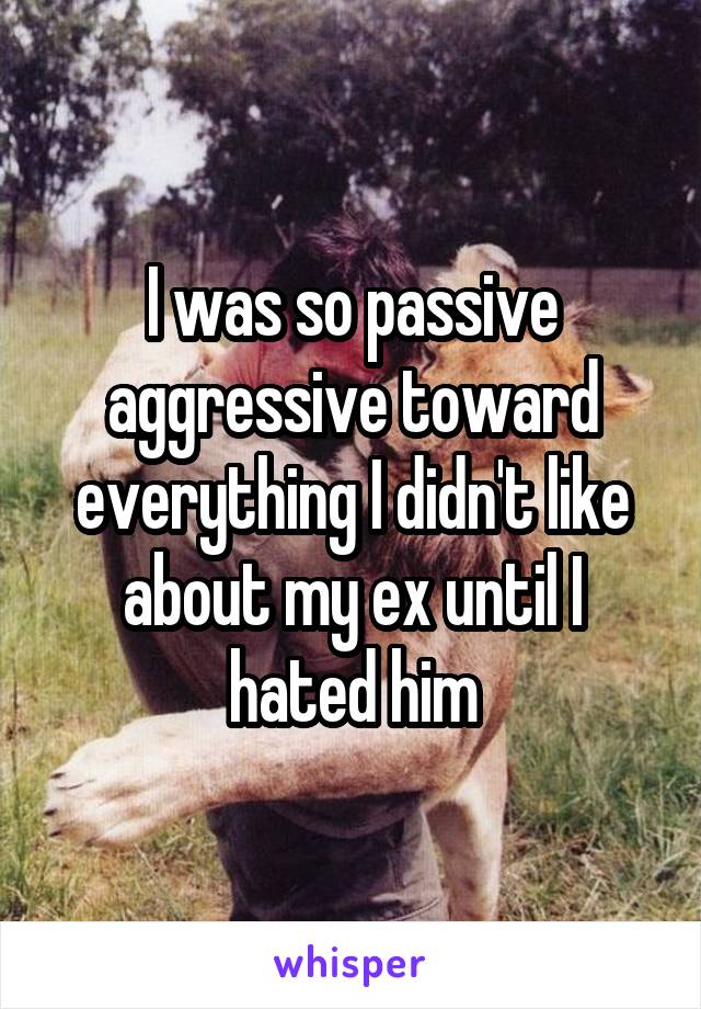 I was so passive aggressive toward everything I didn't like about my ex until I hated him