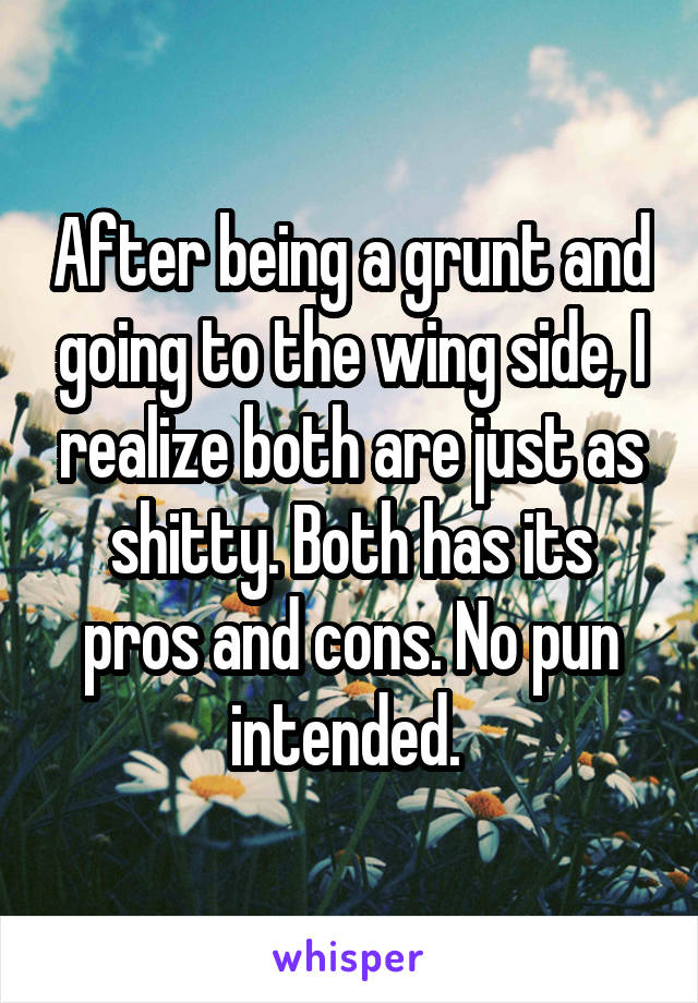 After being a grunt and going to the wing side, I realize both are just as shitty. Both has its pros and cons. No pun intended. 