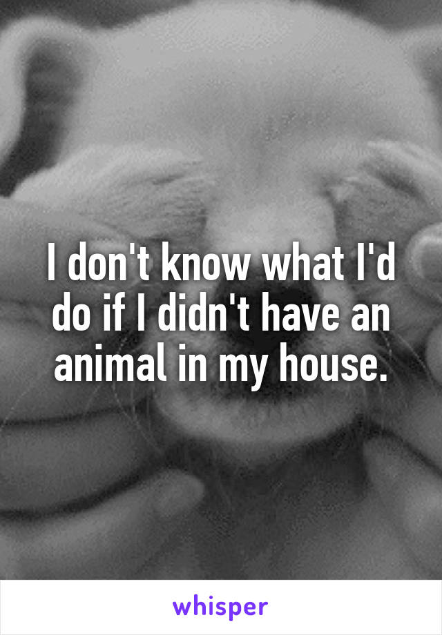 I don't know what I'd do if I didn't have an animal in my house.