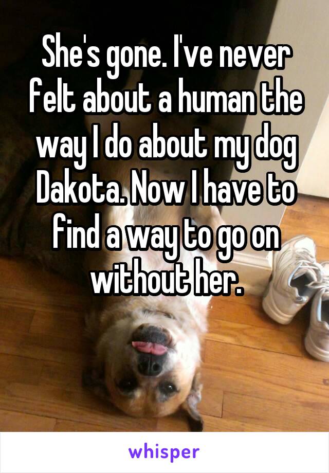 She's gone. I've never felt about a human the way I do about my dog Dakota. Now I have to find a way to go on without her.


