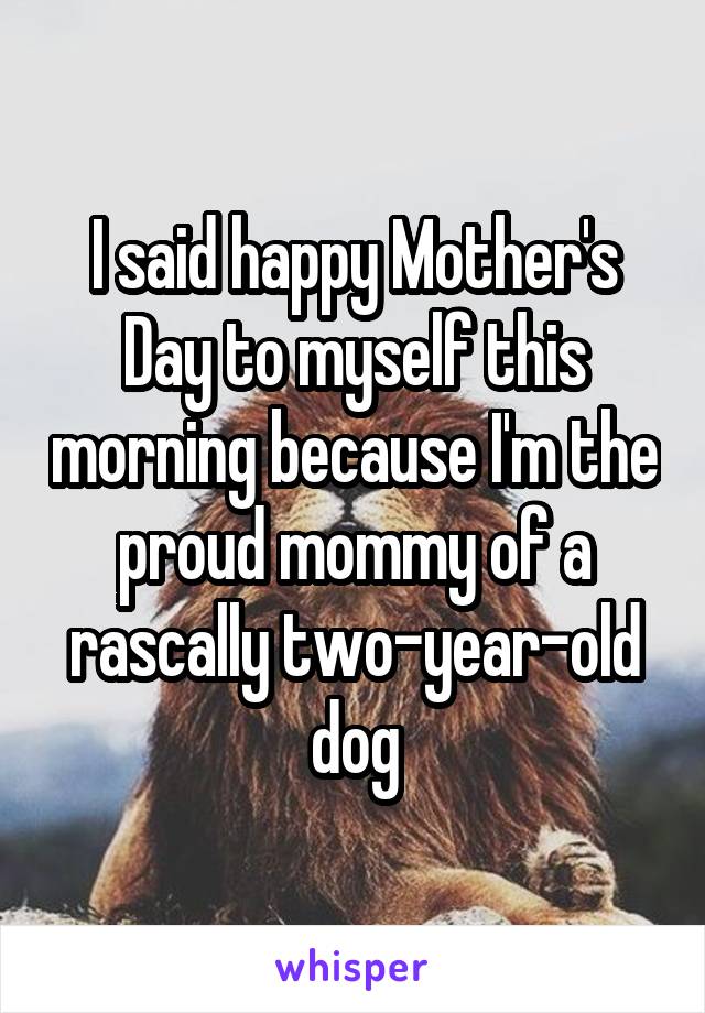 I said happy Mother's Day to myself this morning because I'm the proud mommy of a rascally two-year-old dog