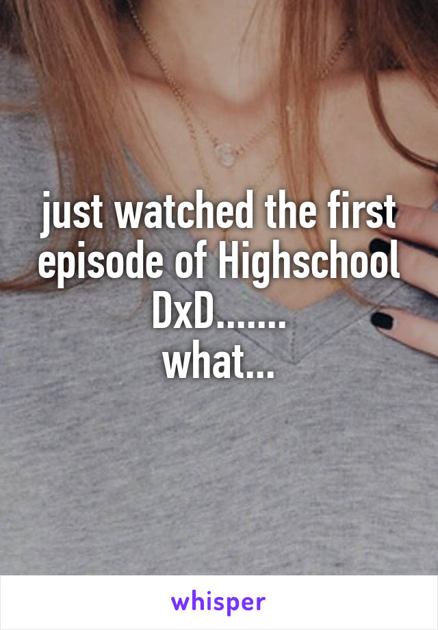 just watched the first episode of Highschool DxD.......
what...
