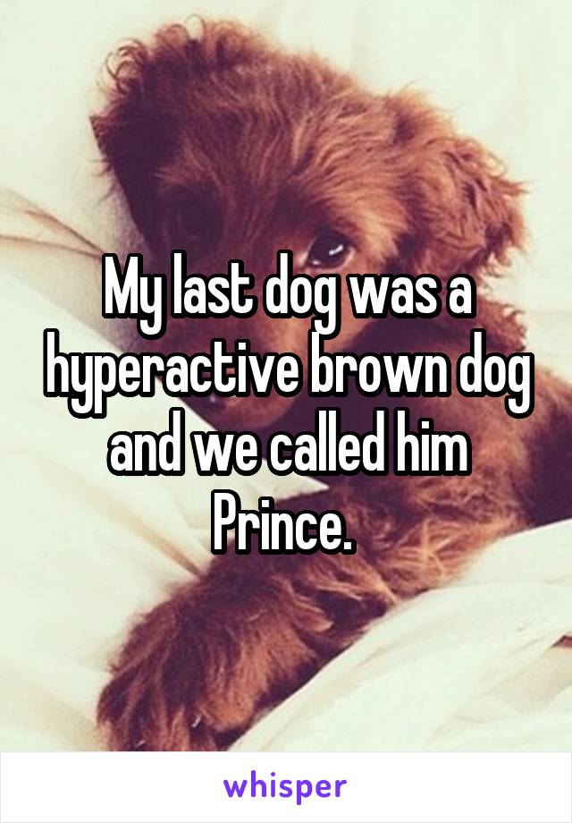 My last dog was a hyperactive brown dog and we called him Prince. 