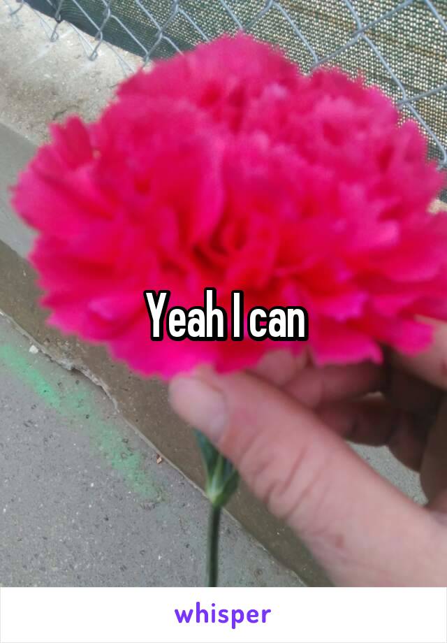 Yeah I can