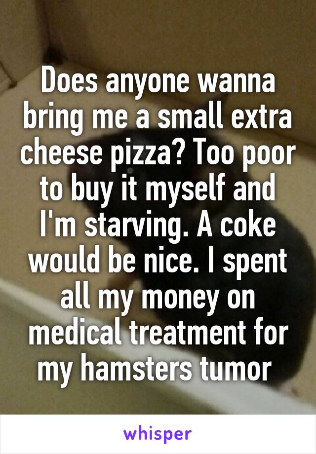 Does anyone wanna bring me a small extra cheese pizza? Too poor to buy it myself and I'm starving. A coke would be nice. I spent all my money on medical treatment for my hamsters tumor 