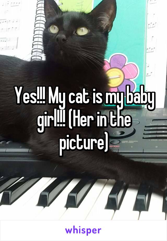 Yes!!! My cat is my baby girl!!! (Her in the picture)