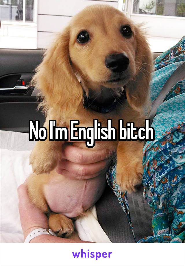 No I'm English bitch 