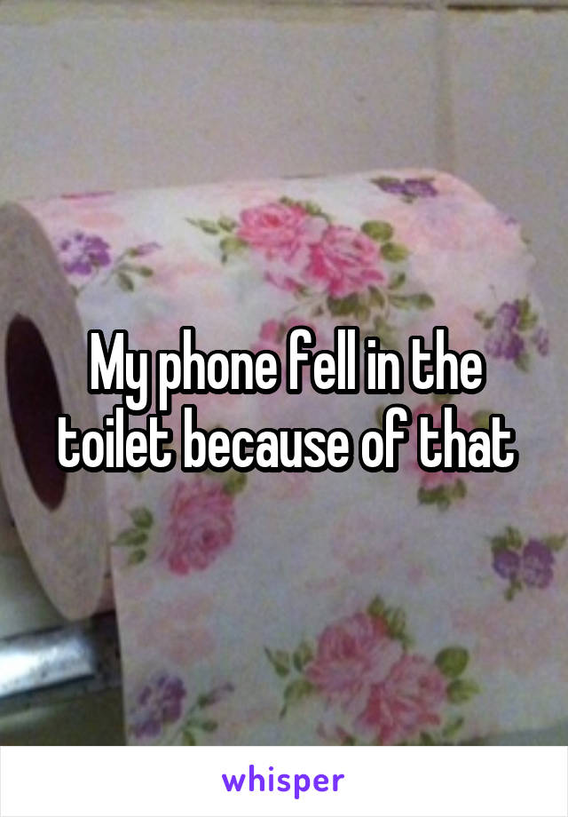 My phone fell in the toilet because of that
