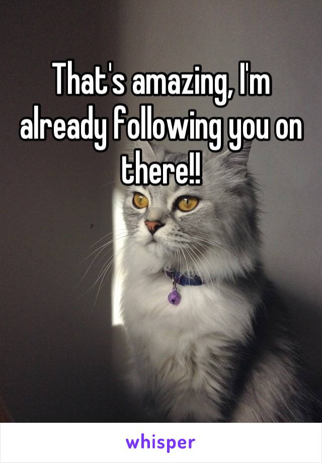 That's amazing, I'm already following you on there!!