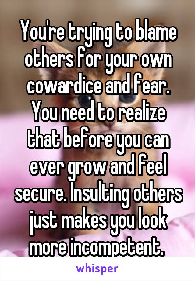 You're trying to blame others for your own cowardice and fear. You need to realize that before you can ever grow and feel secure. Insulting others just makes you look more incompetent. 