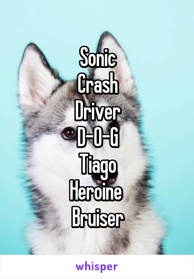 Sonic
Crash
Driver
D-O-G
Tiago
Heroine 
Bruiser