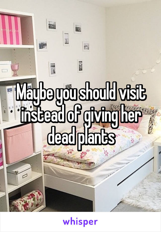 Maybe you should visit instead of giving her dead plants