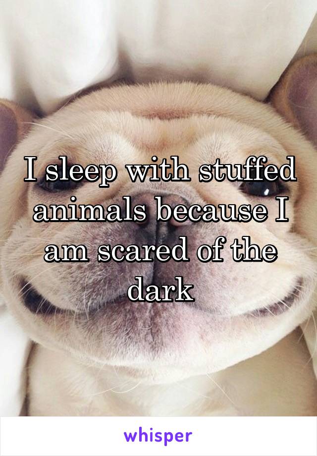 I sleep with stuffed animals because I am scared of the dark