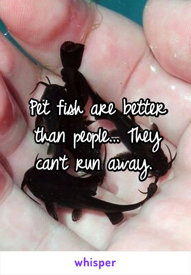 Pet fish are better than people... They can't run away. 