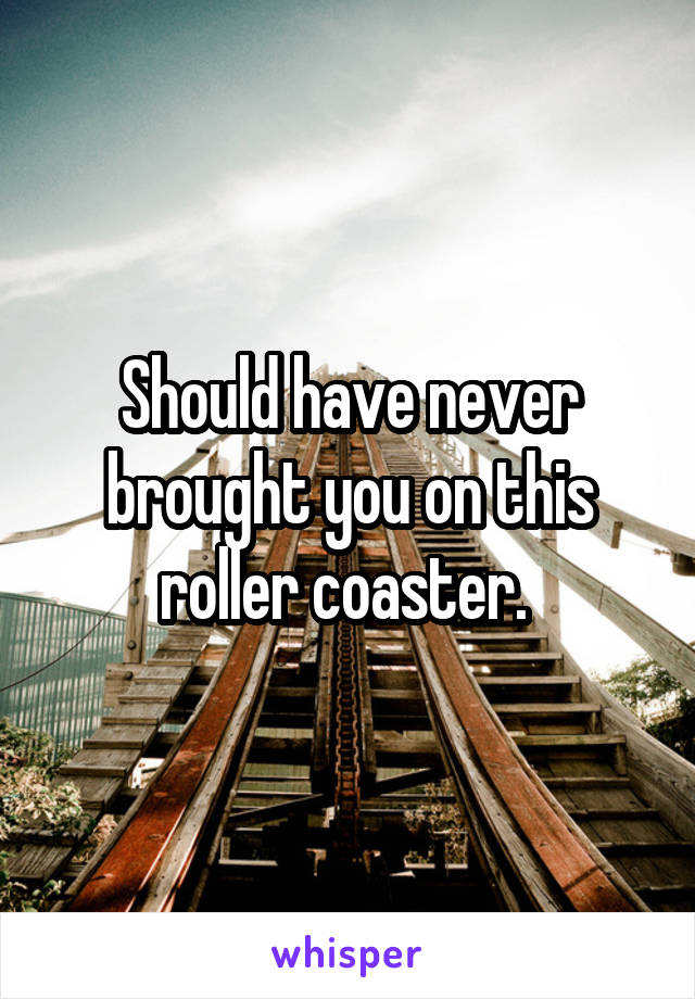 Should have never brought you on this roller coaster. 