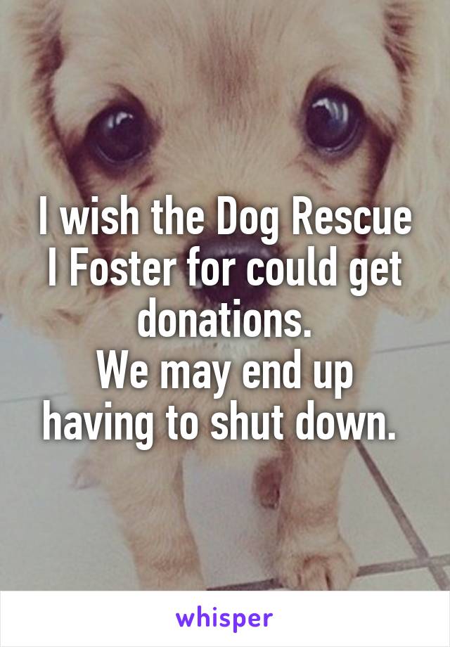 I wish the Dog Rescue I Foster for could get donations.
We may end up having to shut down. 