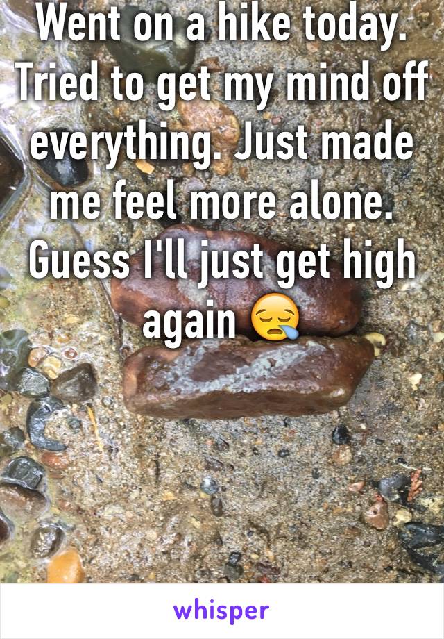 Went on a hike today. Tried to get my mind off everything. Just made me feel more alone. Guess I'll just get high again 😪