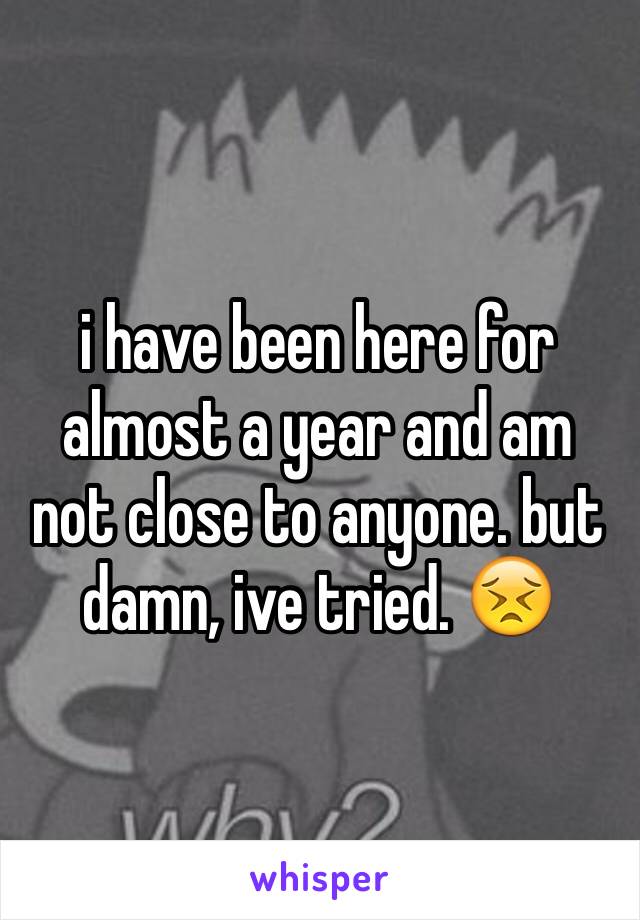 i have been here for almost a year and am not close to anyone. but damn, ive tried. 😣