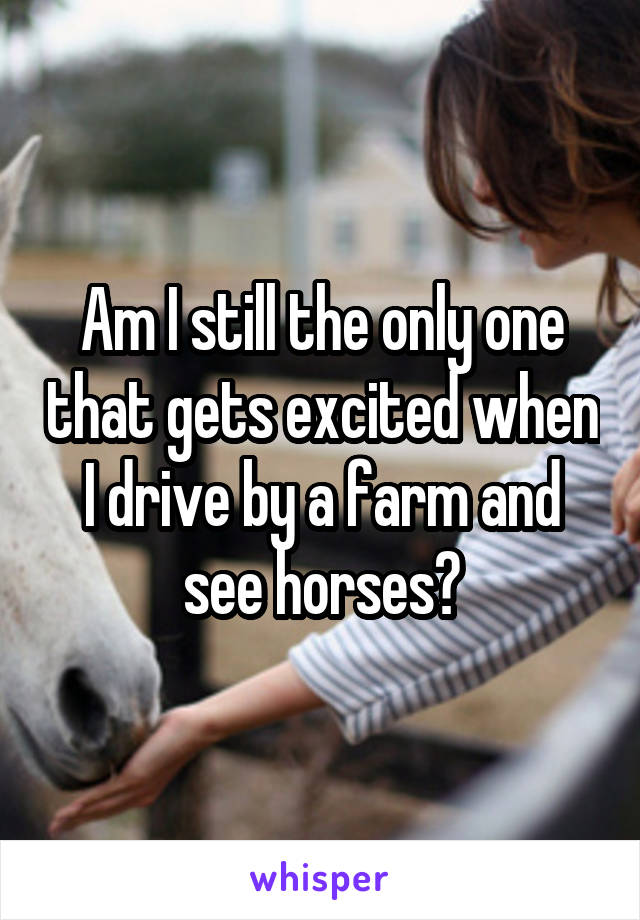 Am I still the only one that gets excited when I drive by a farm and see horses?