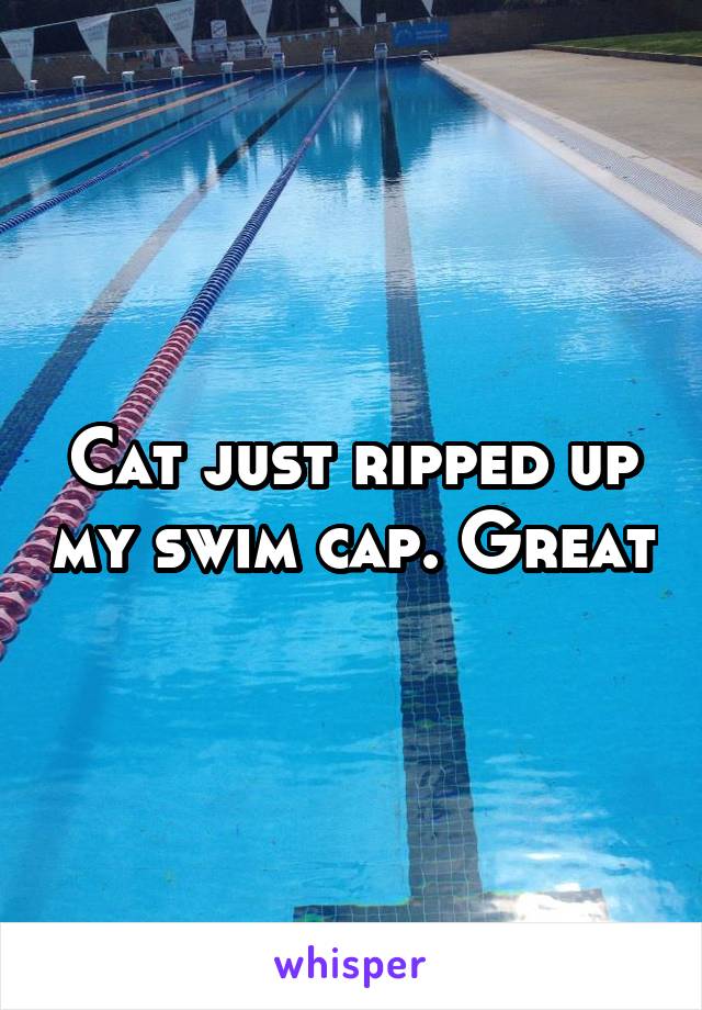 Cat just ripped up my swim cap. Great