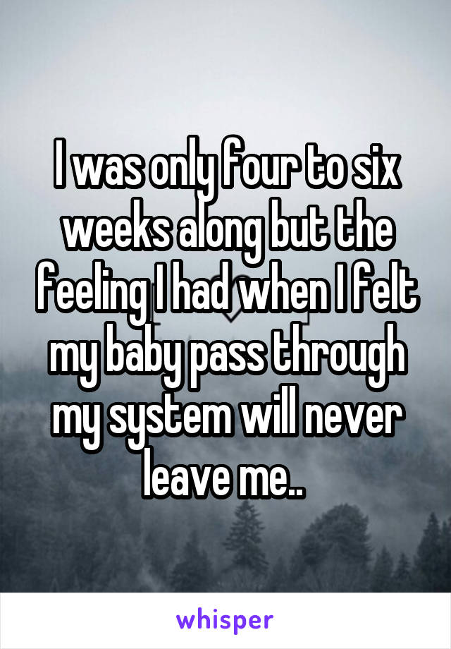 I was only four to six weeks along but the feeling I had when I felt my baby pass through my system will never leave me.. 