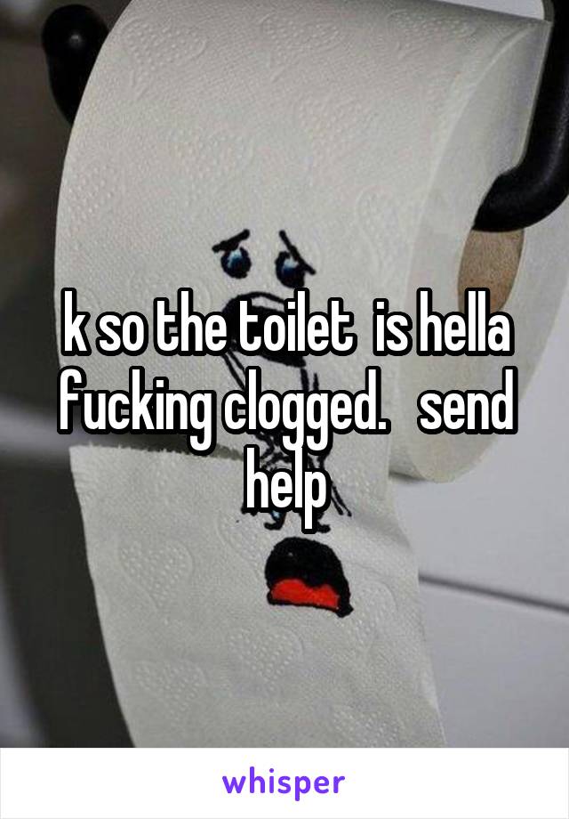 k so the toilet  is hella fucking clogged.   send help