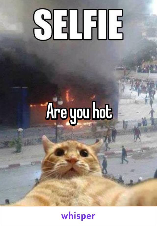 Are you hot
