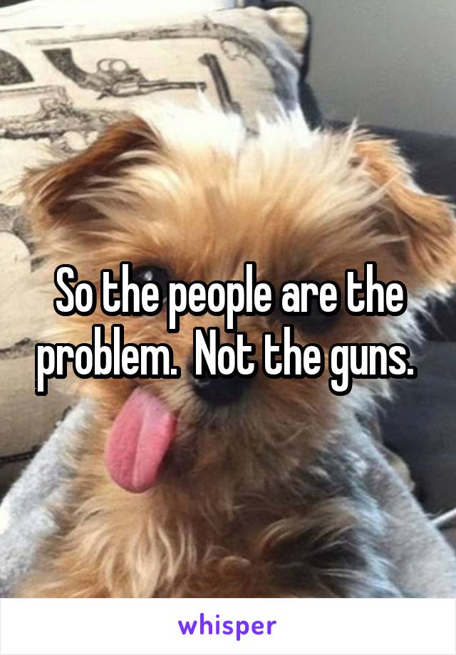 So the people are the problem.  Not the guns. 