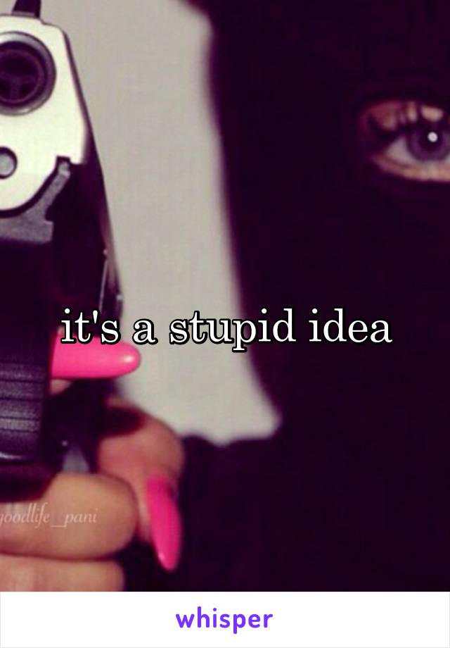 it's a stupid idea