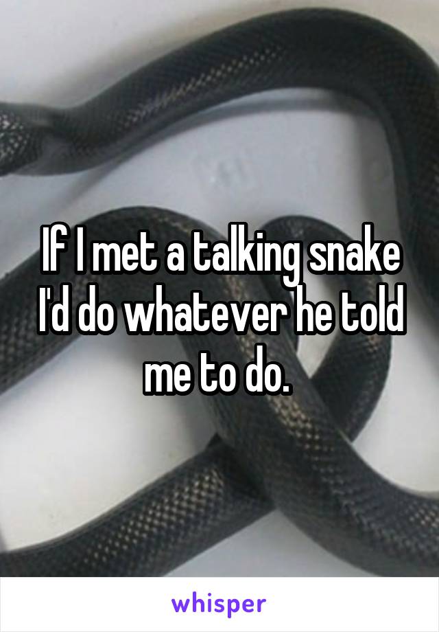 If I met a talking snake I'd do whatever he told me to do. 