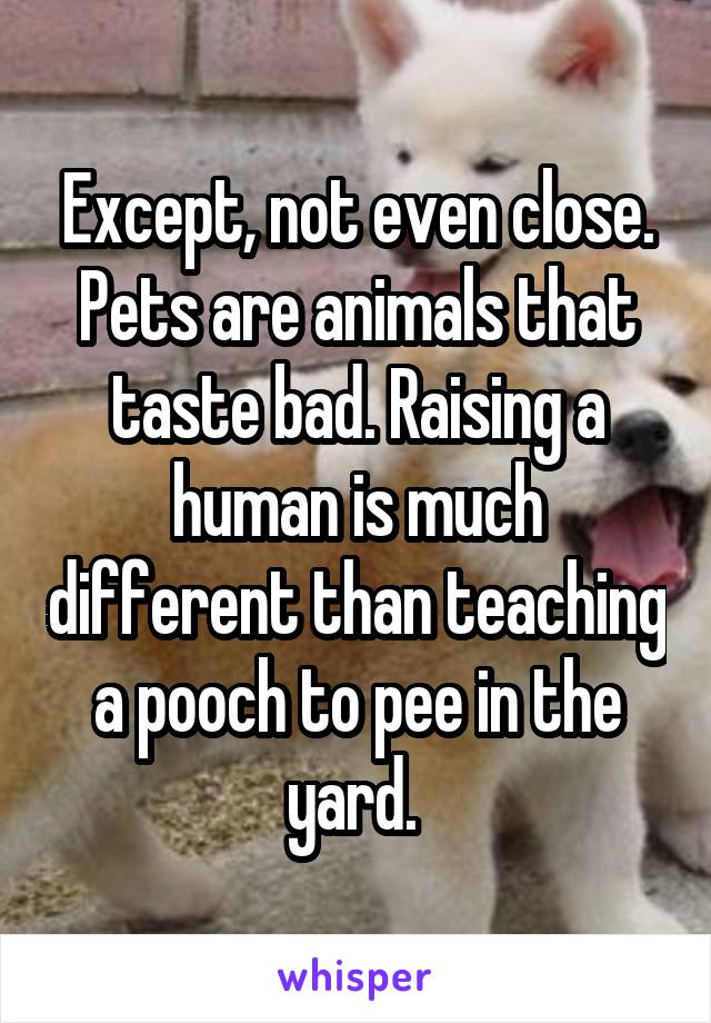 Except, not even close. Pets are animals that taste bad. Raising a human is much different than teaching a pooch to pee in the yard. 