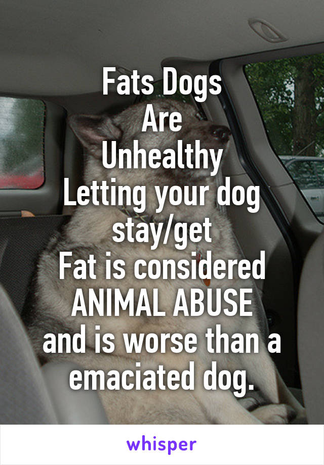 Fats Dogs
Are
Unhealthy
Letting your dog
stay/get
Fat is considered
ANIMAL ABUSE
and is worse than a emaciated dog.