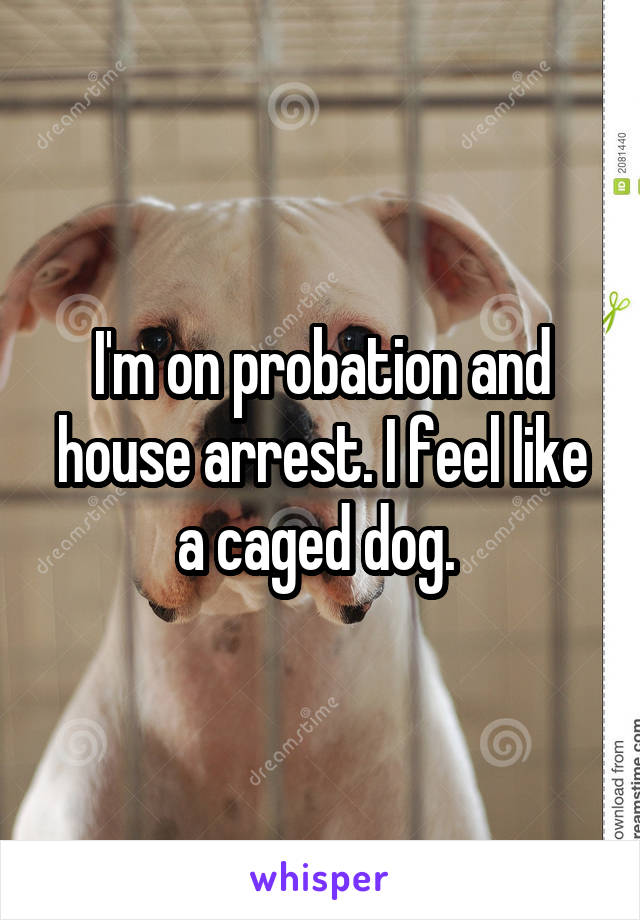 I'm on probation and house arrest. I feel like a caged dog. 