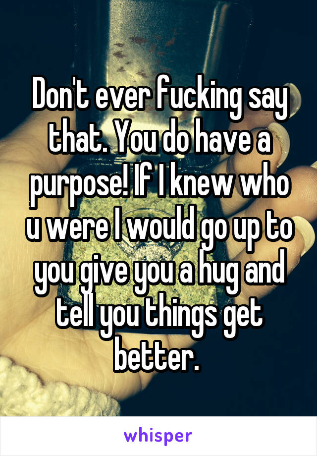 Don't ever fucking say that. You do have a purpose! If I knew who u were I would go up to you give you a hug and tell you things get better. 