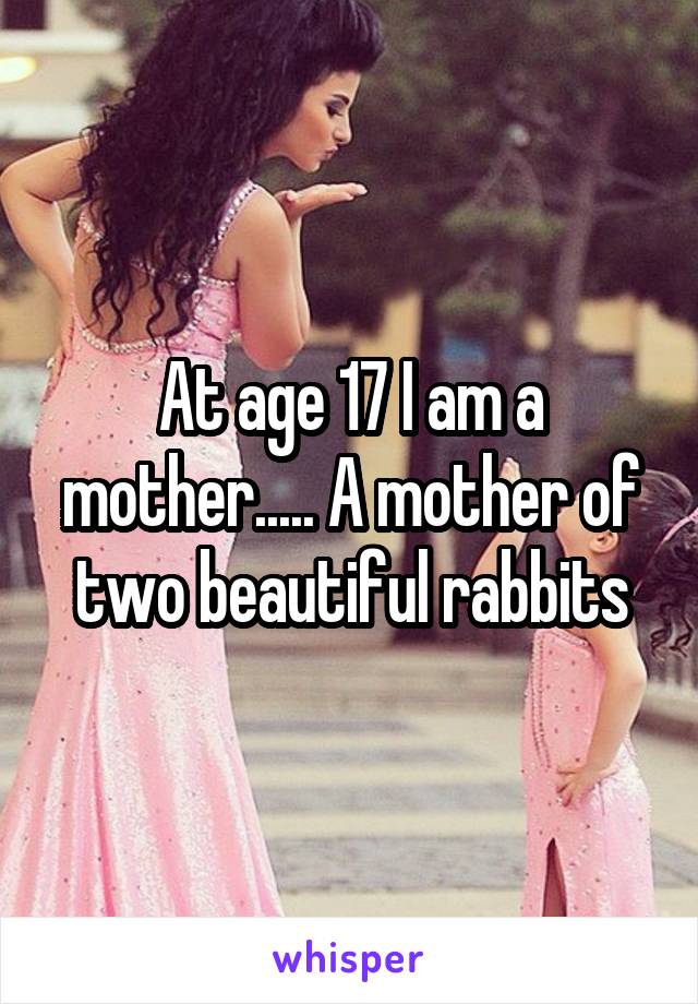 At age 17 I am a mother..... A mother of two beautiful rabbits