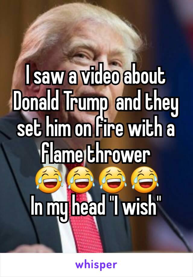 I saw a video about Donald Trump  and they set him on fire with a flame thrower 😂😂😂😂
In my head "I wish"