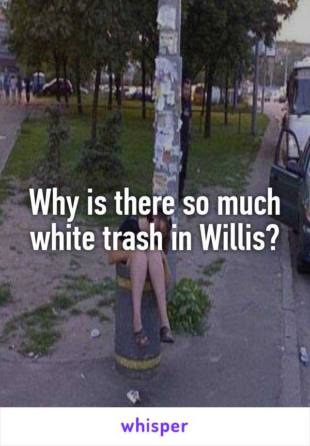 Why is there so much white trash in Willis?