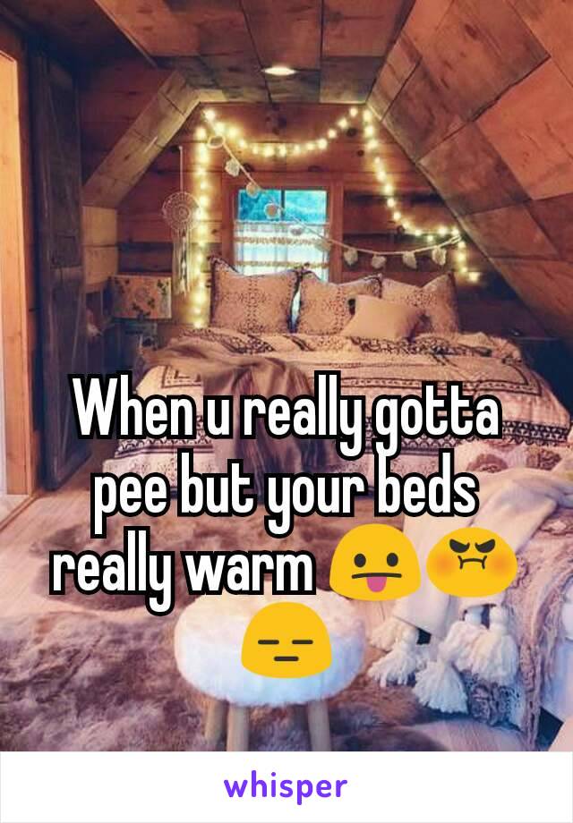 When u really gotta pee but your beds really warm 😛😡😑