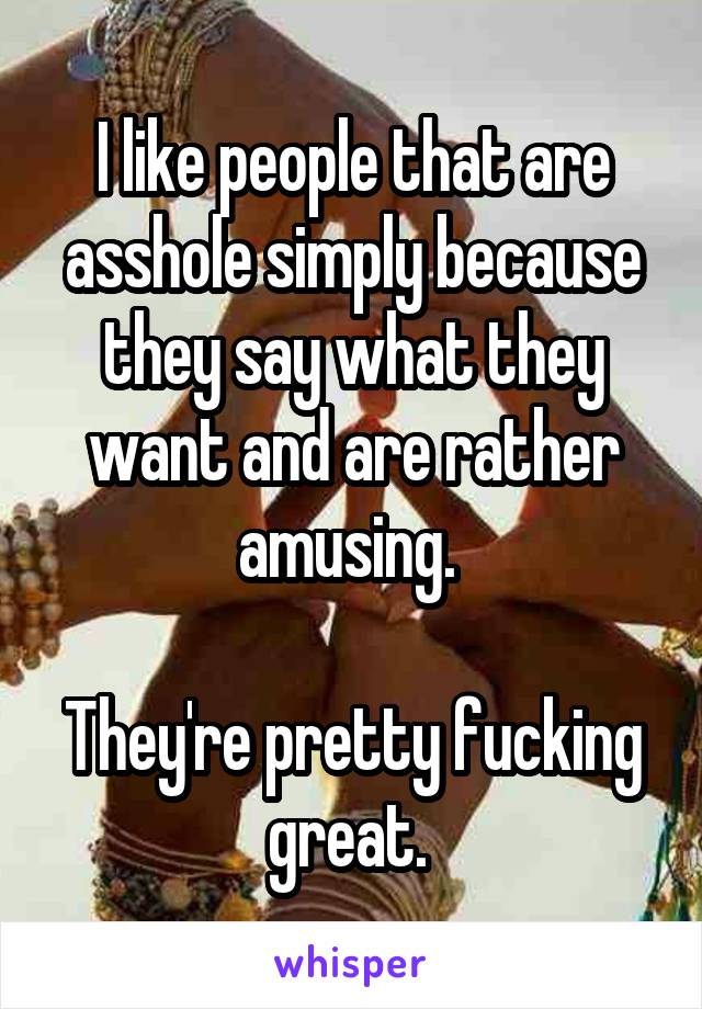 I like people that are asshole simply because they say what they want and are rather amusing. 

They're pretty fucking great. 