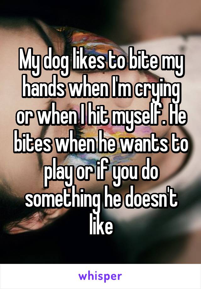 My dog likes to bite my hands when I'm crying or when I hit myself. He bites when he wants to play or if you do something he doesn't like