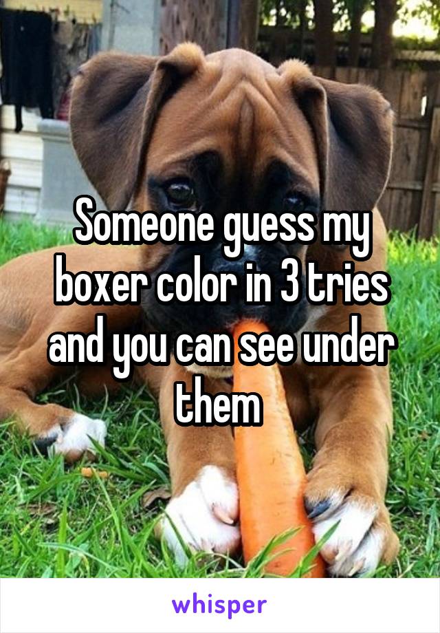 Someone guess my boxer color in 3 tries and you can see under them 